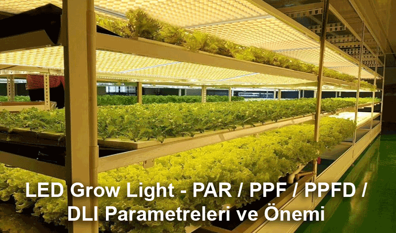 LED grow light, dikey tarım, bitki yetiştirme ışıkları, fotosentetik aktif radyasyon, PAR, fotosentetik foton akısı, PPF, fotosentetik foton akı yoğunluğu, PPFD, günlük ışık integrali, DLI, bitki yetiştirme ışığı, bitki yetiştirme ışığı